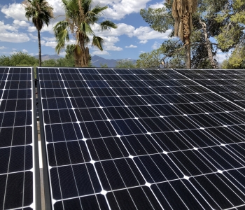 solar-panels-tucson-with-palm-trees_sul19