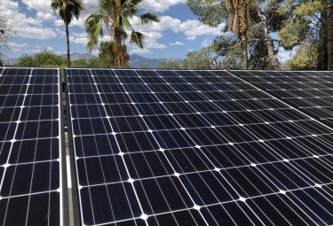 solar-panels-tucson-with-palm-trees_sul19
