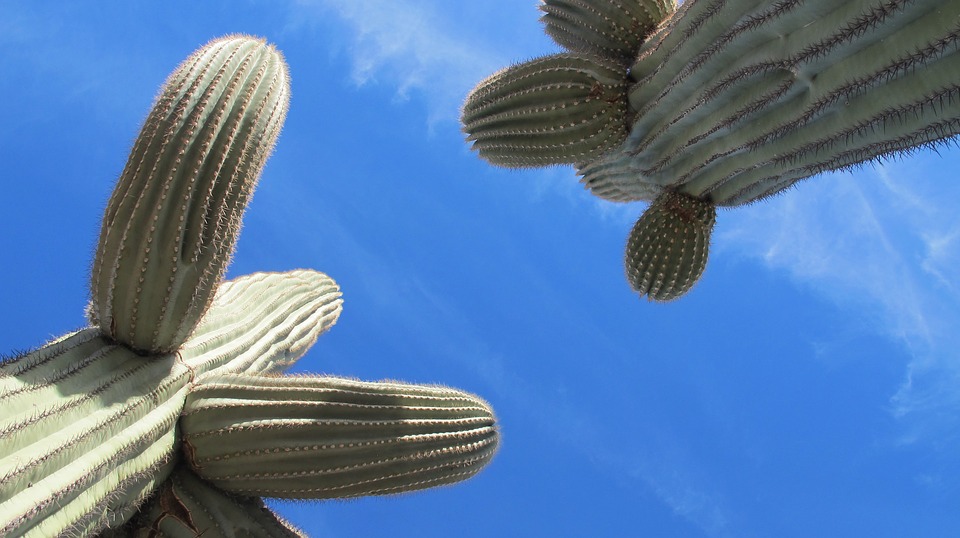 2 factors help you get the best Solar ROI in Arizona
